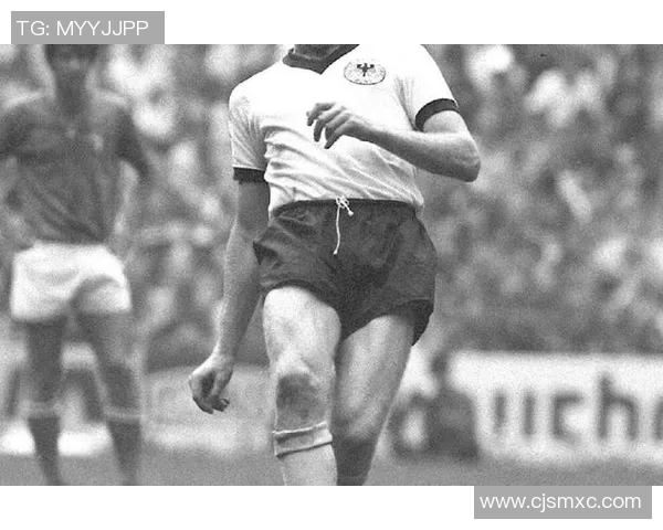 足球球星的魅力与影响力如何塑造全球体育文化与粉丝经济