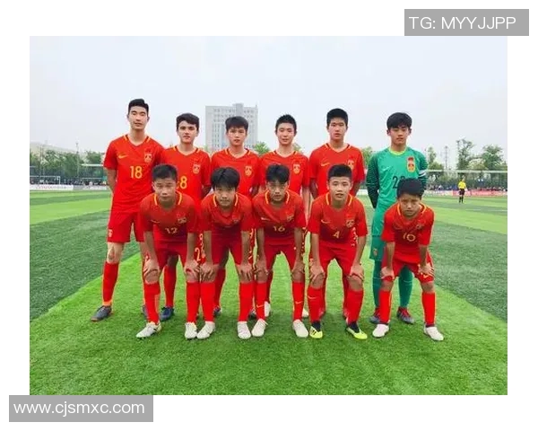 深度解读潘伟力足球星视界带你洞察绿茵赛场风云变幻与明星故事